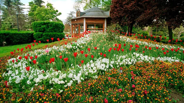 Flores en el parque de la Taconera. ARCHIVO