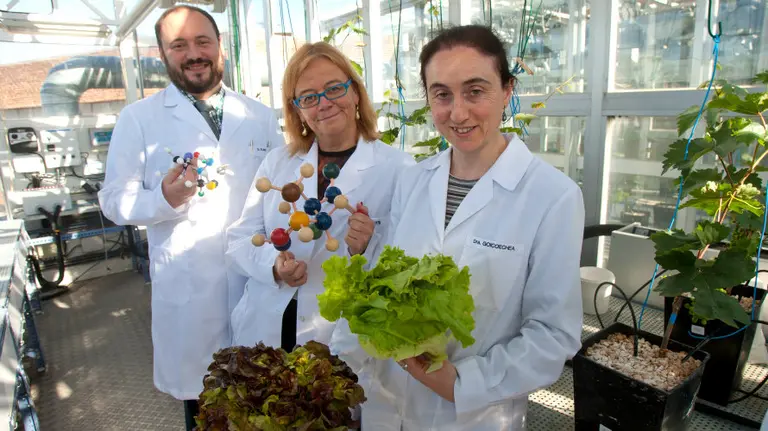 Los investigadores Daniel Plano, Carmen Sanmartín y Nieves Goicoechea.