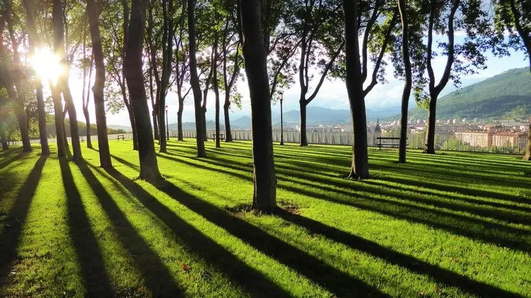 Septiembre, Taconera zona Vista Bella.