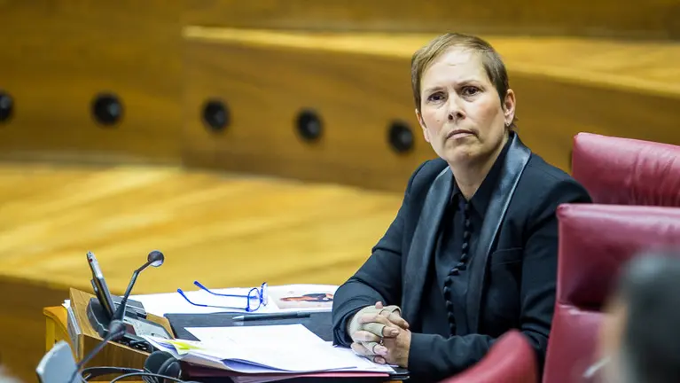 Sesión del Pleno del Parlamento de Navarra. IÑIGO ALZUGARAY. -36