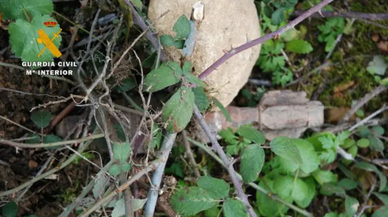 Foto del twitter de la Delegación del Gobierno en Navarra.