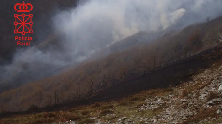 Imagen del monte tras el incendio. POLICÍA FORAL
