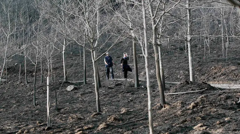 GRA445. IGANTZI, 20/12/2015.- El incendio declarado este sábado en Igantzi y que tuvo su origen en la caída de un árbol sobre un tendido eléctrico, también ha afectado a zonas arboladas de monte del término de Lesaka, y ha sido controlado este domingo por la mañana por los efectivos de bomberos, según ha informado el Gobierno de Navarra. EFE/Ivan Aguinaga