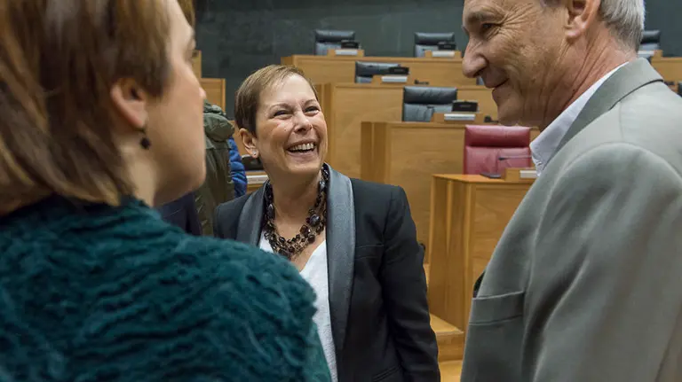 Parlamentarios de UPN, PP, PSN-PSOE, Geroa Bai, EH Bildu, Podemos, Izquierda Ezkerra durante un pleno en el Parlamento de Navarra