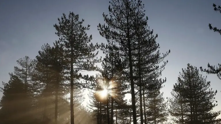 Un espeso manto de niebla cubre la comarca de Pamplona. EFE.