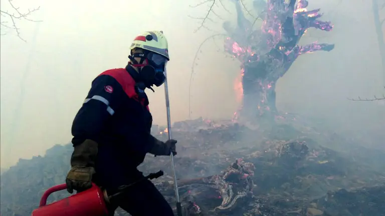 Incendio en Arantza.