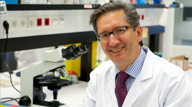El Dr. Jesús San Miguel, director médico de la Clínica Universidad de Navarra, recién galardonado.