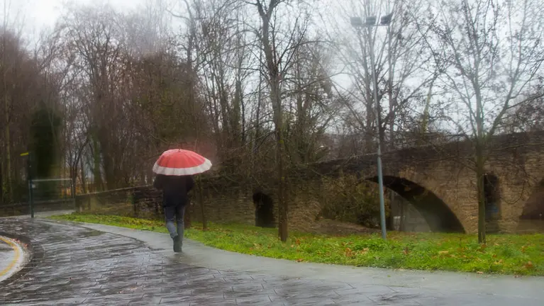 Tiempo: Día lluvioso en Pamplona. (1). IÑIGO ALZUGARAY