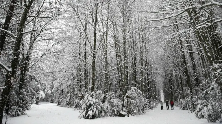 Un grupo de personas pasea por el paraje de Mata de Haya, en el puerto de Balagua. Tiempo, nieve. EFE.