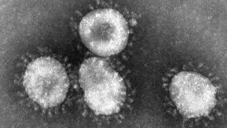 Coronaviruses_004_lores