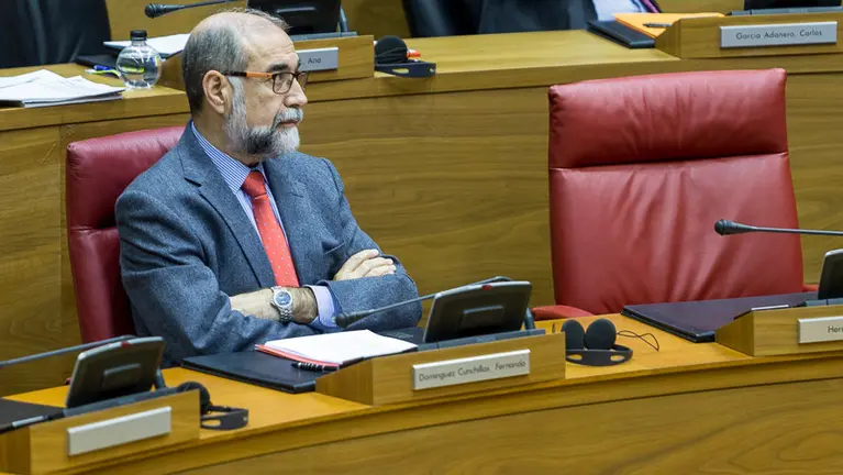 Pleno del Parlamento de Navarra (50). IÑIGO ALZUGARAY