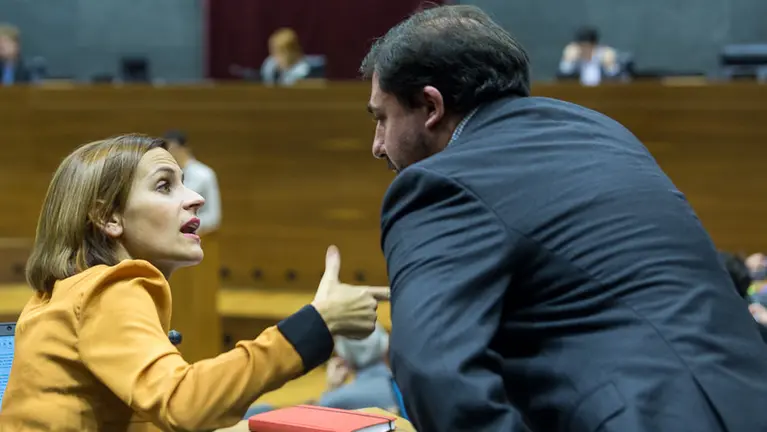 Pleno del Parlamento de Navarra (10). IÑIGO ALZUGARAY