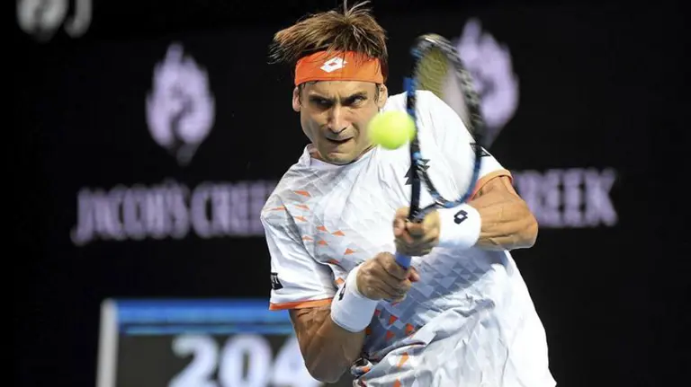 David Ferrer en acción. Efe.