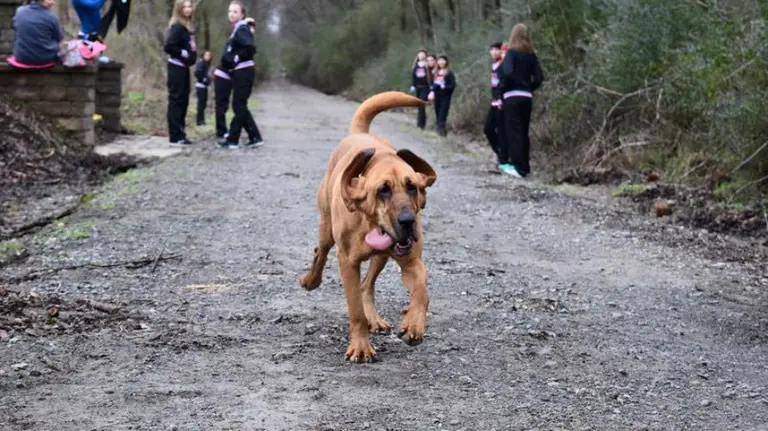 Luduvune en la maratón.