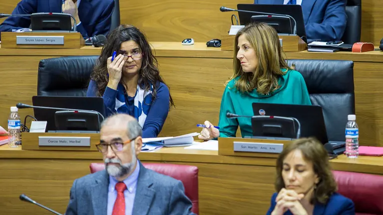 Sesión del Pleno del Parlamento de Navarra. IÑIGO ALZUGARAY. -34