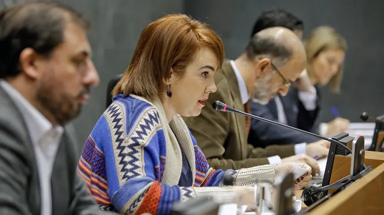 Ainhoa Aznárez durante un pleno del Parlamento