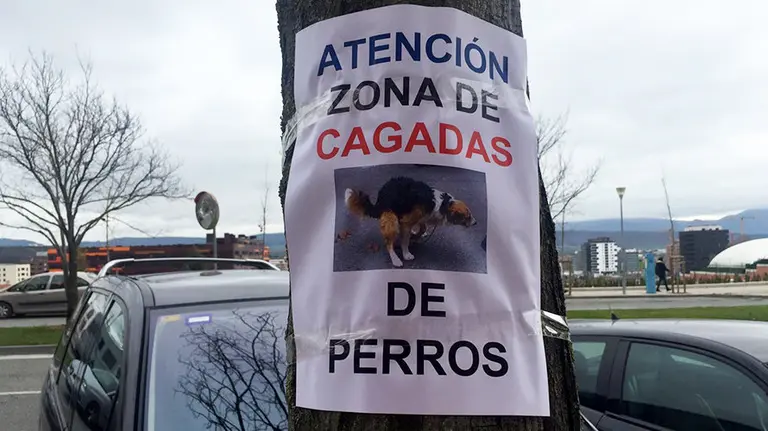 Carteles en Pamplona que alertan de cagadas de perros por las aceras. 3