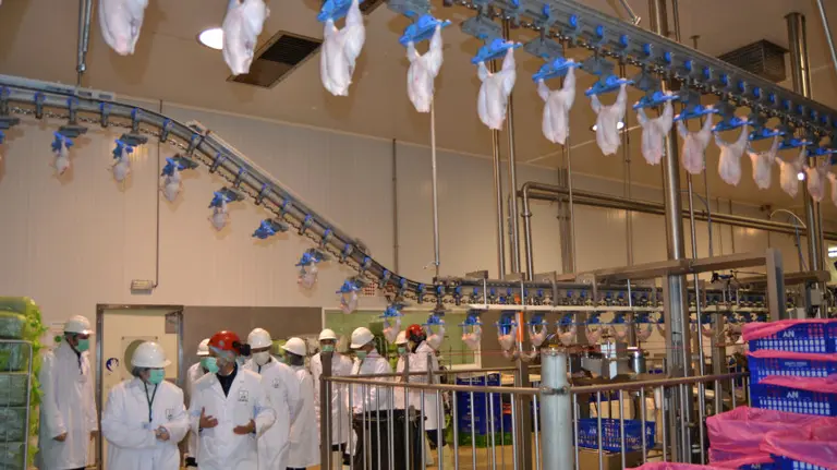 Sala de despiece del centro de procesamiento av&iacute;cola de M&eacute;lida.