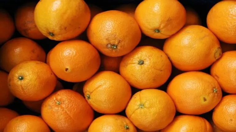 Naranjas de Valencia. EFE