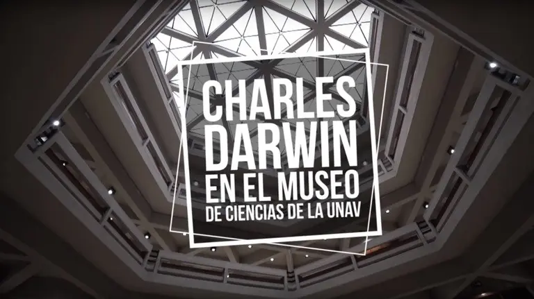 Charles Darwin en el Museo de la Universidad de Navarra.