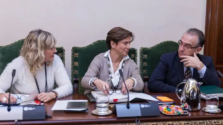 Pleno del Ayuntamiento de Pamplona (12). IÑIGO ALZUGARAY