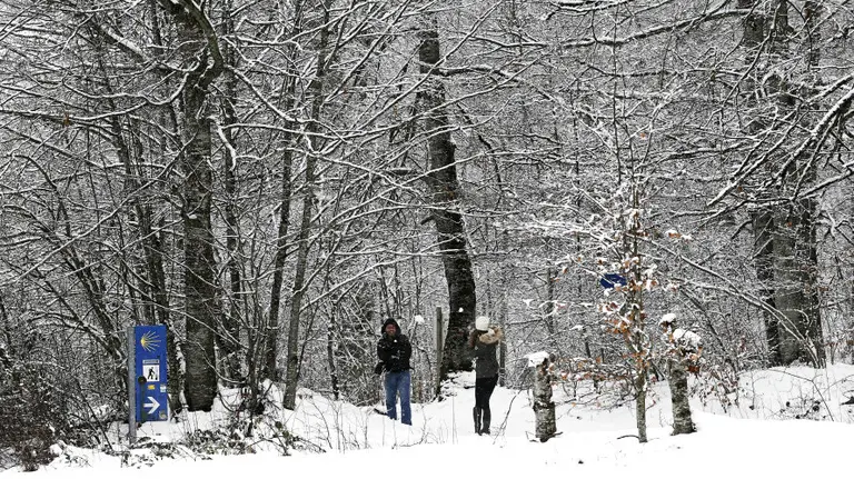 Dos personas juegan con bolas de nieve en el alto de Mezkiritz donde la nieve ca&iacute;da durante esta madrugada ha vuelto a cubrir los montes del norte de la comunidad foral. EFEJes&uacute;s Diges