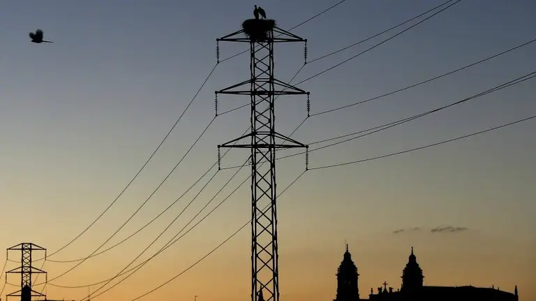 Dos cigüeñas permanecen en el nido de la torre de un tendido eléctrico cercano a la Catedral de Pamplona. EFE