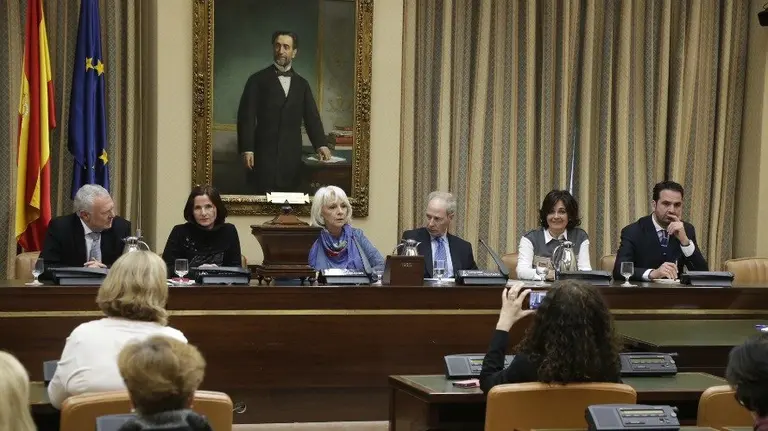 El diputado navarro Iñigo Alli en la Comisión de Discapacidad.