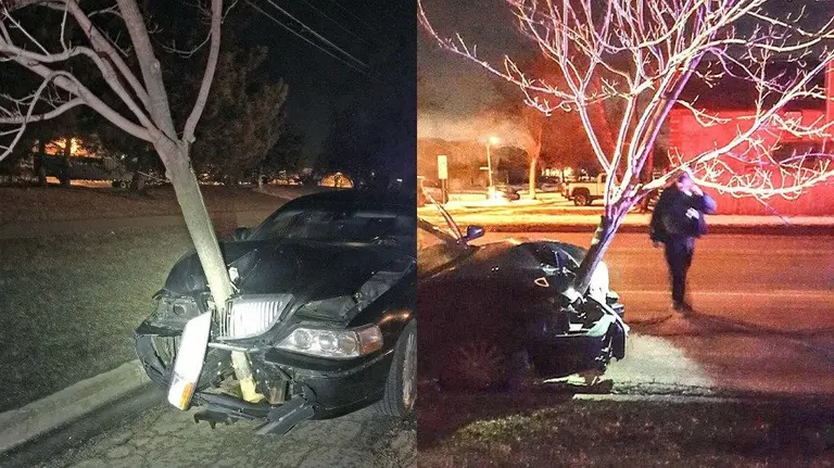Una mujer conduce con un árbol incrustado en su coche. Fotos Roselle Police Department Facebook.