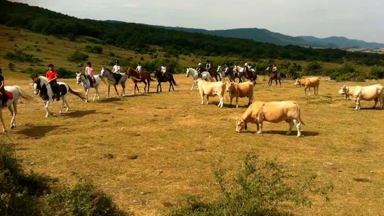 Actividades de los campamentos de Caballerizas Bicuña 5.
