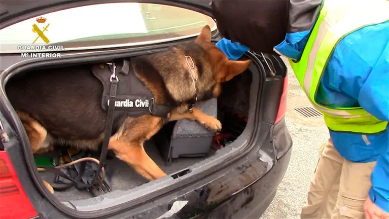 Actuación de la Guardia civil de de Navarra en la operación Jocker 7. GC