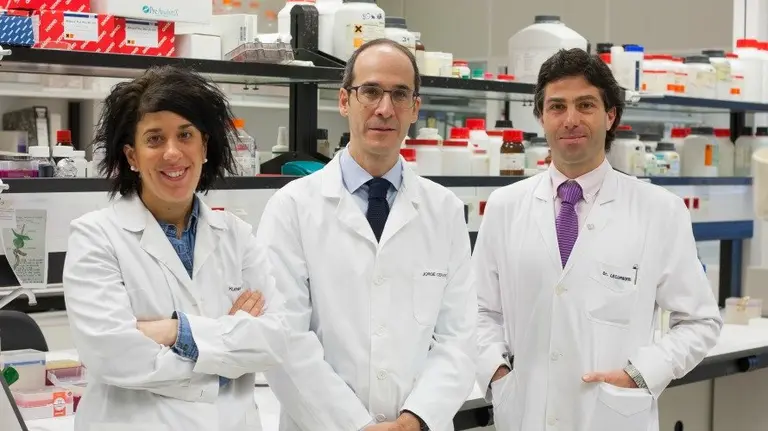 Eva Molina y José Hermida, investigadores del CIMA; y Ramón Lecumberri, investigador de la CUN.