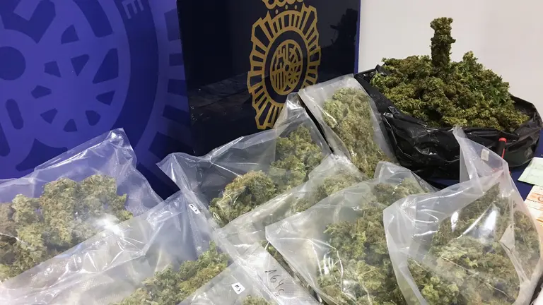 Operación “Depredador” en Pamplona y Osacar