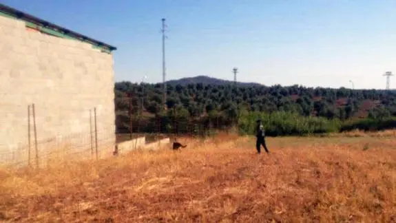 La unidad canina de la Guardia Civil en las labores de búsqueda tras la fuga de la joven.  (IDEAL).