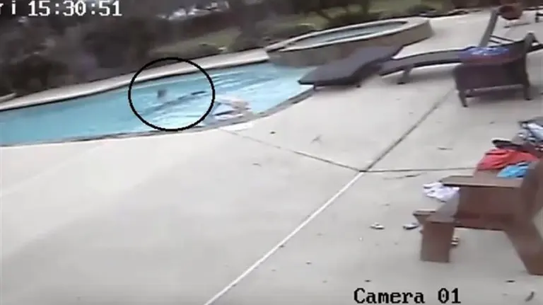 Una niña de 5 años salva a su madre de ahogarse en una piscina.