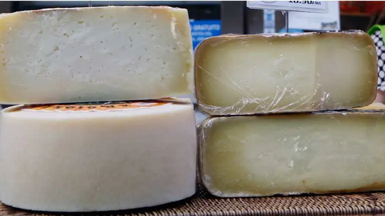 Dieferentes tipos de quesos navarros.