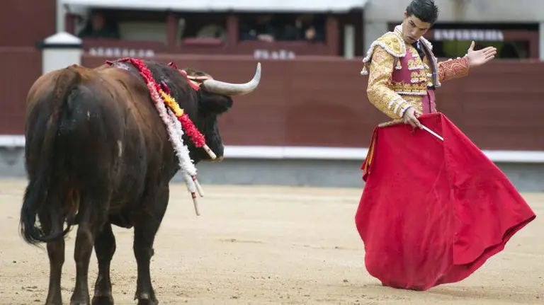 El novillero Pablo Aguado.