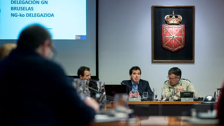 El delegado de Navarra en Bruselas, Mikel Irujo, comparece ante la comisión parlamentaria de relaciones ciudadanas e institucionales. PABLO LASAOSA