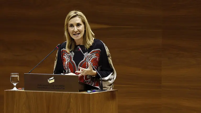 GRA439 PAMPLONA (NAVARRA) 07-04-2016.La portavoz del grupo parlamentario del PPN Ana Beltrán, durante su intervención esta tarde en el pleno del Parlamento donde se ha aprobado una moción que propone la creación de una comisión de investigación sobre la desaparición de Caja Navarra, planteada por los grupos parlamentarios Geroa Bai, EH Bildu, Podemos-Ahal Dugu, PSN e Izquierda-Ezkerra.La moción ha sido aprobada con los 33 votos a favor de los grupos proponentes y con los 15 en contra de UPN y PPN. EFE/Jesús Diges