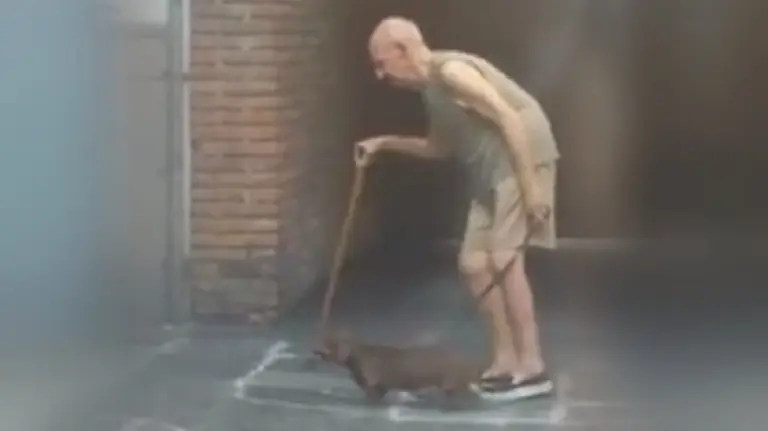 El mejor amigo de un hombre viejo este paciente perro.