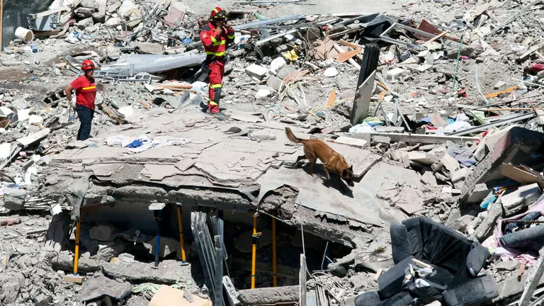 GRA291. ARONA (TENERIFE), 15/04/2016.- Miembros de la Unidad Militar de Emergencias UME, pasan un perro en busca de personas que puedieran quedan bajo los escombros del edificio que ayer se derrumbó en el centro de Los Cristianos, del que se han rescatado dos cadáveres y nueve personas continúan desaparecidas, mientras sigue la investigación sobre las causas del desplome. EFE/Ramón de la Rocha