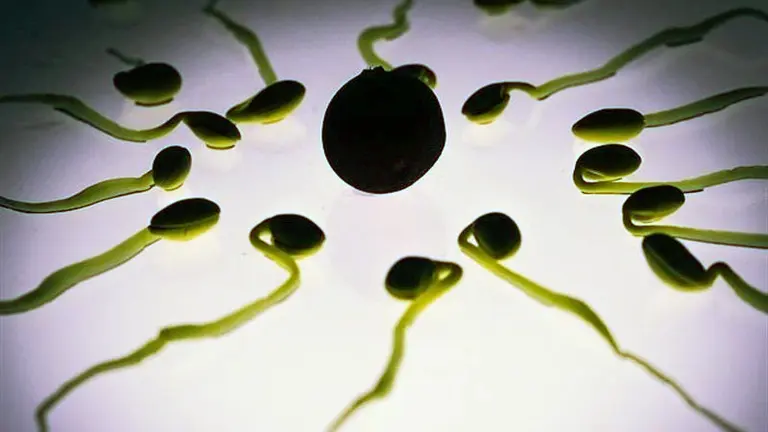 fotonoticia_20160416090636_800