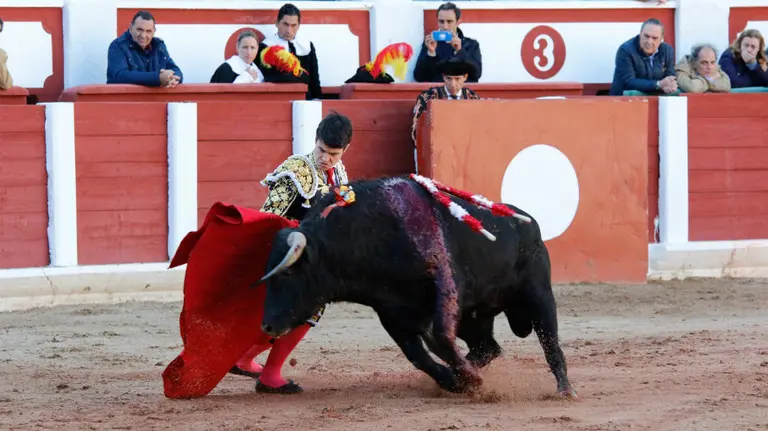 El novillero Toñete Catalán en uno de los lances en la corrida celebrada en Zamora. LA OPINIÓN DE ZAMORA