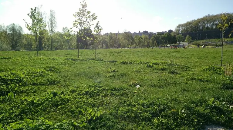 Césped en Trinitarios, Pamplona.
