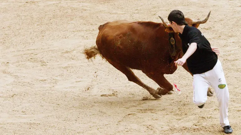 Un joven recorta una vaca en un espectáculo taurino en Navarra. MAITE H-SANFERMIN.COM