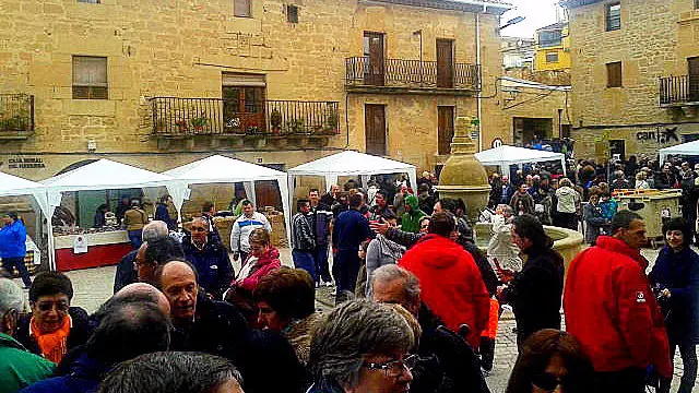 DICASTILLO. DÍA DEL ESPÁRRAGO.