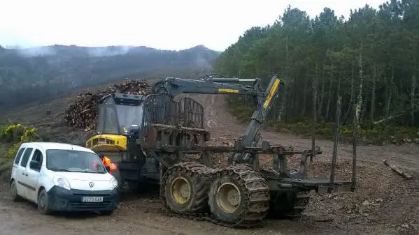Un hombre muere aplastado por un árbol en Ribas de Sil. (El Progreso).