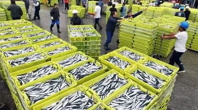 Lonja de pescado (Efe).