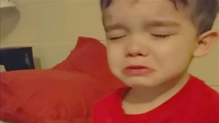 Un niño no quiere cenar porque su cena es demasiado bonita.