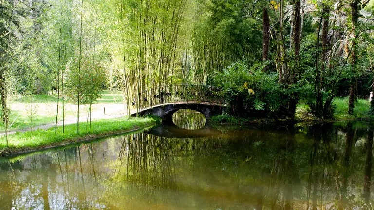 Imagen del Parque Nacional del Señorío de Bertiz.